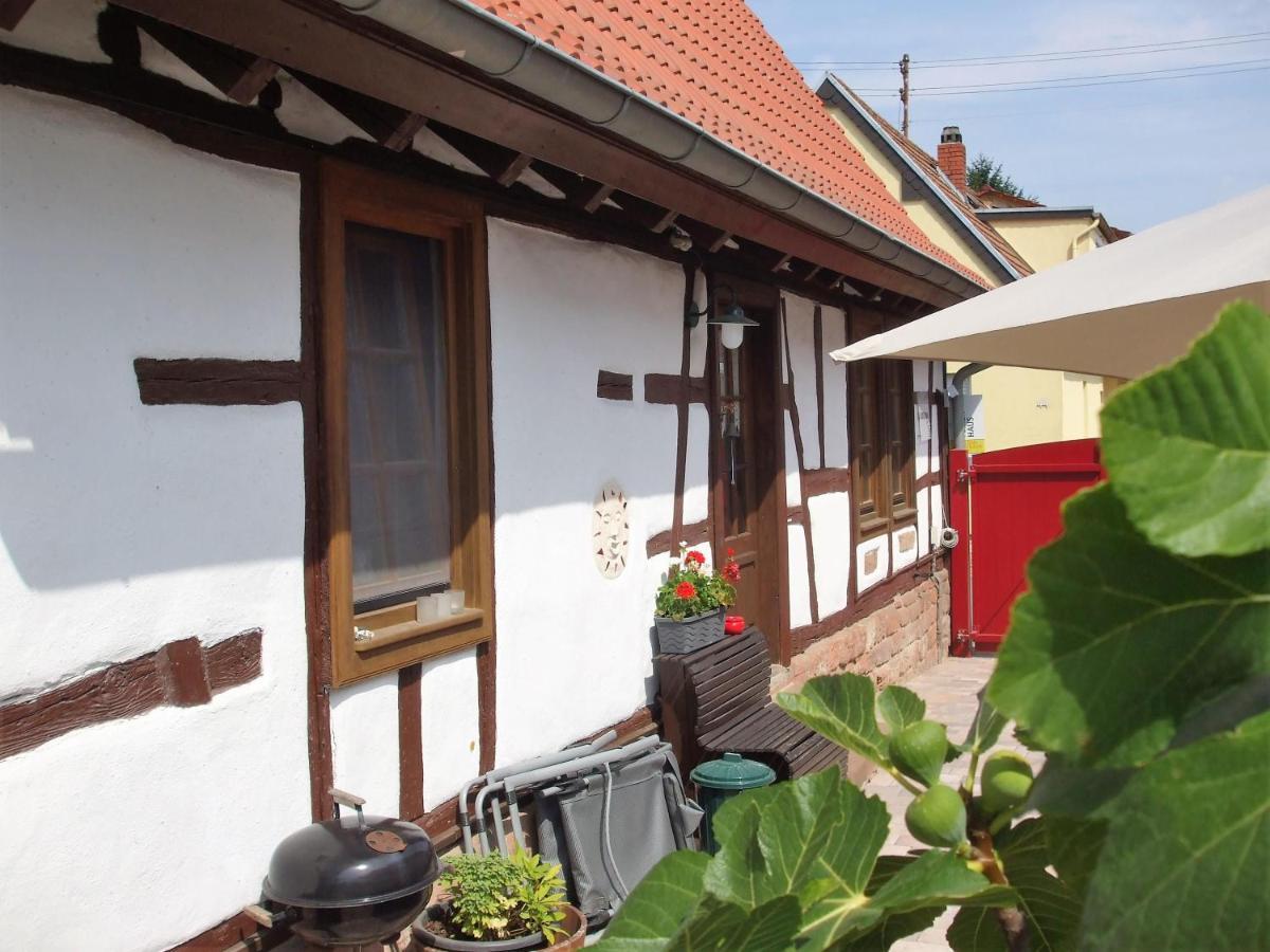 Ferienhaus Pfalzklause Billigheim-Ingenheim Exterior foto
